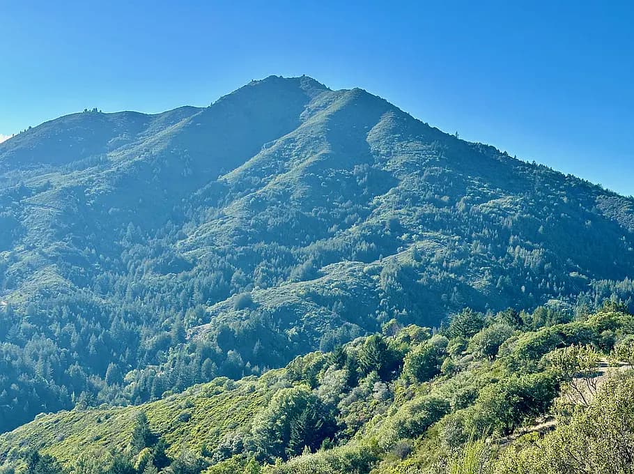 A lovely view of Marin County's most beautiful natural landmark, Mount Tamalpais.